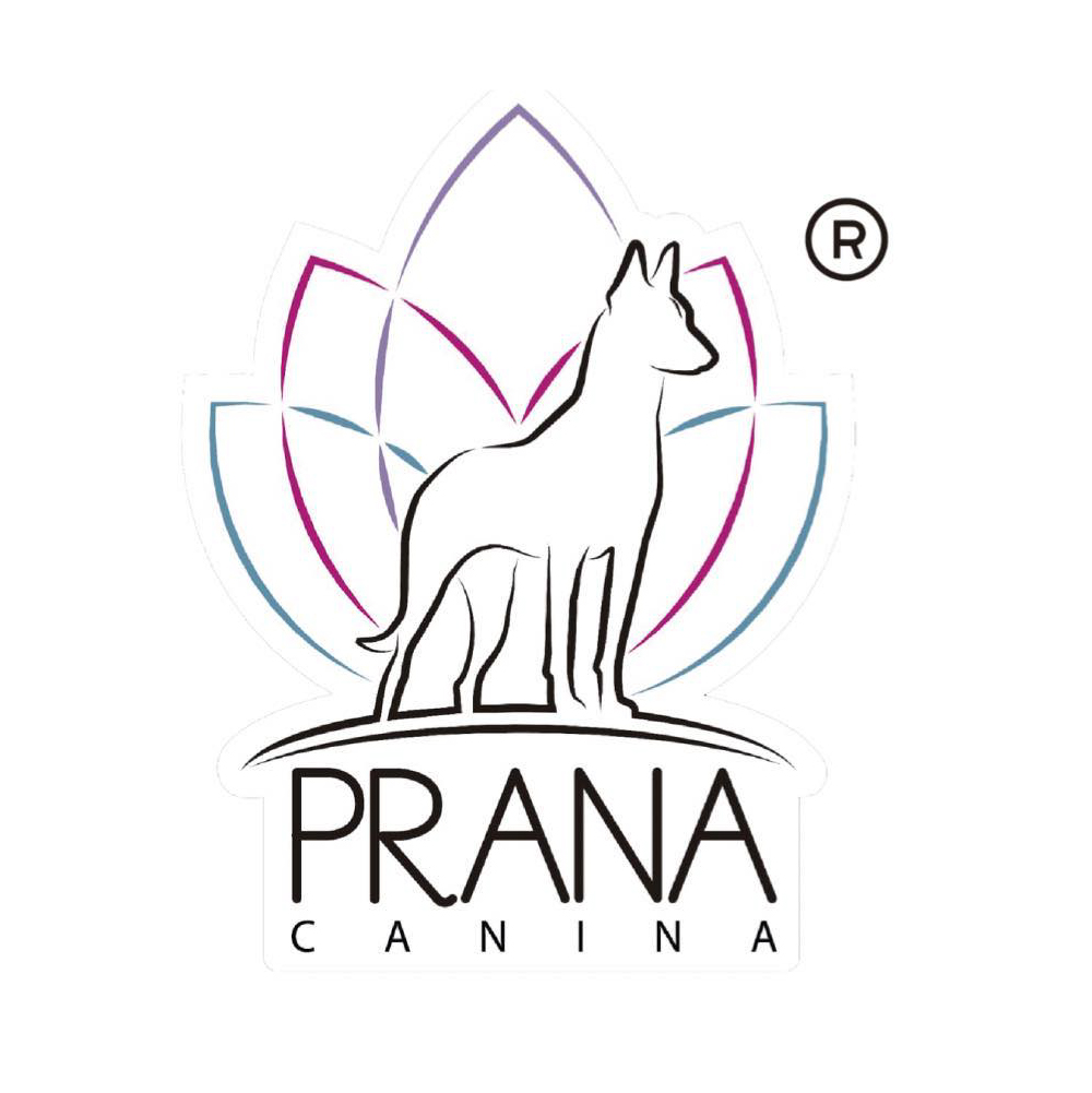 Mesa de trabajo 53 copia 3-100