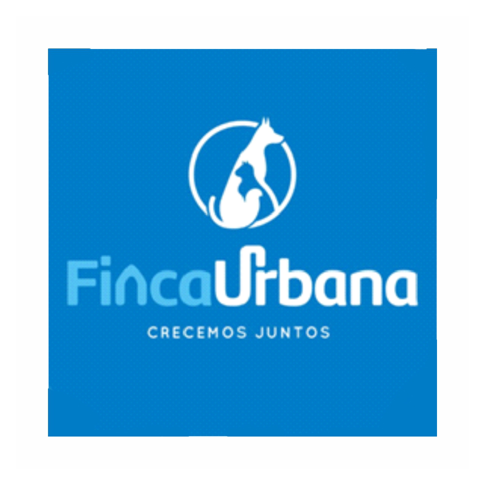 Mesa de trabajo 53 copia 6-100